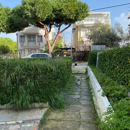 Summer House 度假居