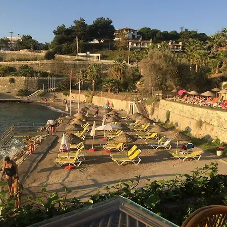 بيت للعطل Summer House